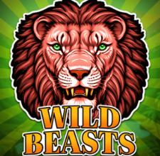 Slot 27 - Joc popular